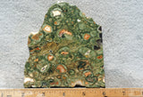 Rainforest Jasper Rock Slab 40
