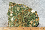 Rainforest Jasper Rock Slab 33