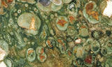 Rainforest Jasper Rock Slab 33
