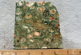 Rainforest Jasper Rock Slab 35