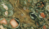 Rainforest Jasper Rock Slab 35