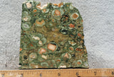 Rainforest Jasper Rock Slab 35
