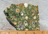 Rainforest Jasper Rock Slab 43