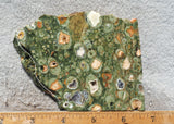 Rainforest Jasper Rock Slab 43