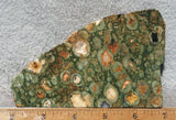 Rainforest Jasper Rock Slab 42
