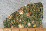 Rainforest Jasper Rock Slab 42