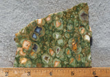 Rainforest Jasper Rock Slab 38