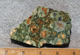 Rainforest Jasper Rock Slab 46