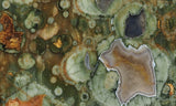 Rainforest Jasper Rock Slab 46