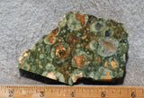 Rainforest Jasper Rock Slab 46