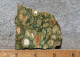 Rainforest Jasper Rock Slab 45