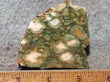 Rainforest Jasper Rock Slab 44