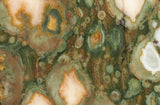 Rainforest Jasper Rock Slab 44