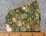 Rainforest Jasper Rock Slab 39