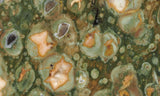 Rainforest Jasper Rock Slab 39