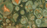 Rainforest Jasper Rock Slab 50