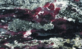 Eudialyte Slab 443