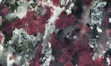 Eudialyte Slab 477