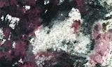 Eudialyte Slab 436