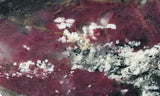 Eudialyte Slab 482