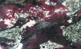 Eudialyte Slab 470