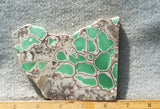 Variscite Rock Slab 289