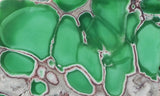 Variscite Rock Slab 288