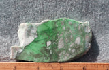 Variscite Rock Slab 299