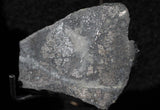 Mohawkite Slab 195