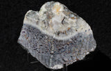 Mohawkite Slab 158