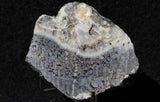 Mohawkite Slab 158