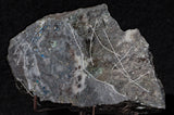 Mohawkite Slab 171