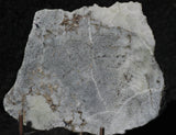 Mohawkite Slab 191