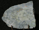 Mohawkite Slab 192