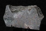 Mohawkite Slab 156