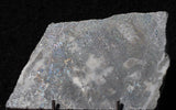 Mohawkite Slab 181