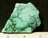 Emerald Rose Variscite Slab 57