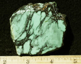 Emerald Rose Variscite Slab 80