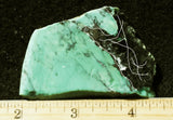 Emerald Rose Variscite Slab 70