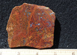 Indonesian Moss Agate slab 275