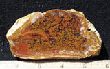 Indonesian Moss Agate slab 273