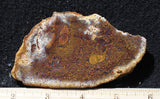 Indonesian Moss Agate slab 299