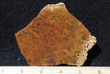 Indonesian Moss Agate slab 278