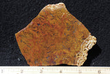 Indonesian Moss Agate slab 278