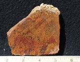 Indonesian Moss Agate slab 290