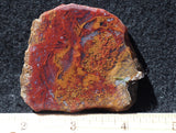 Indonesian Moss Agate slab 271