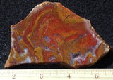 Indonesian Moss Agate slab 289