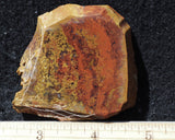 Indonesian Moss Agate slab 293