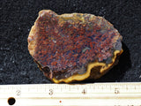 Indonesian Moss Agate slab 282