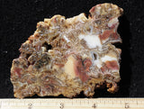 Bella Vista Agate Rock Slab 65